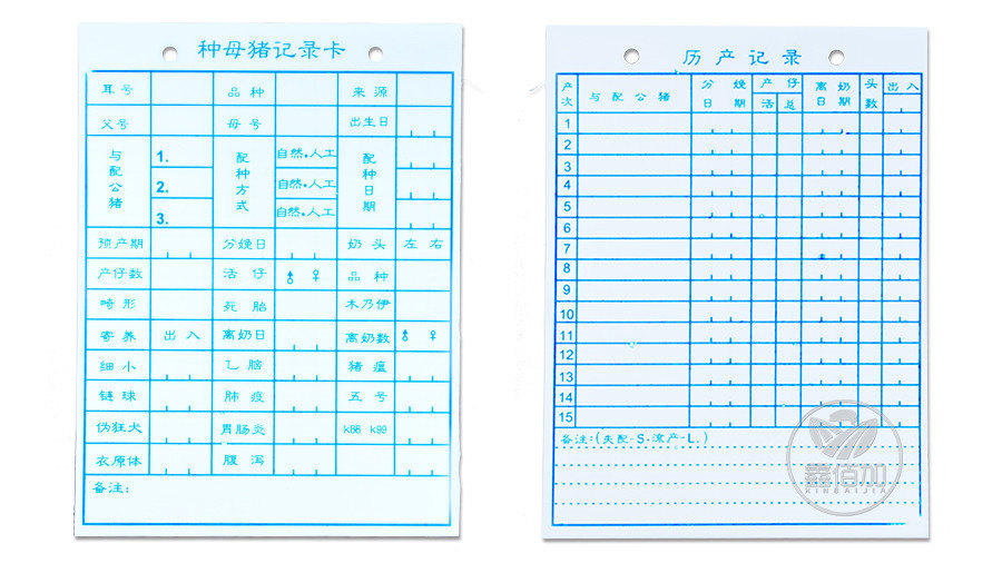 姣嶇尓璁板綍鍗¤鎯呴〉1.jpg